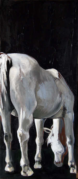 white_horse_grazing