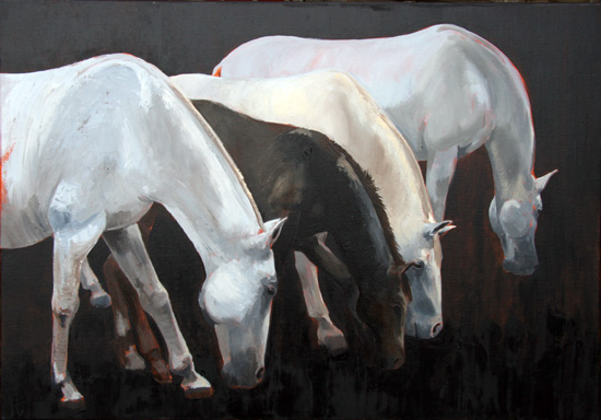 painting horses lipica